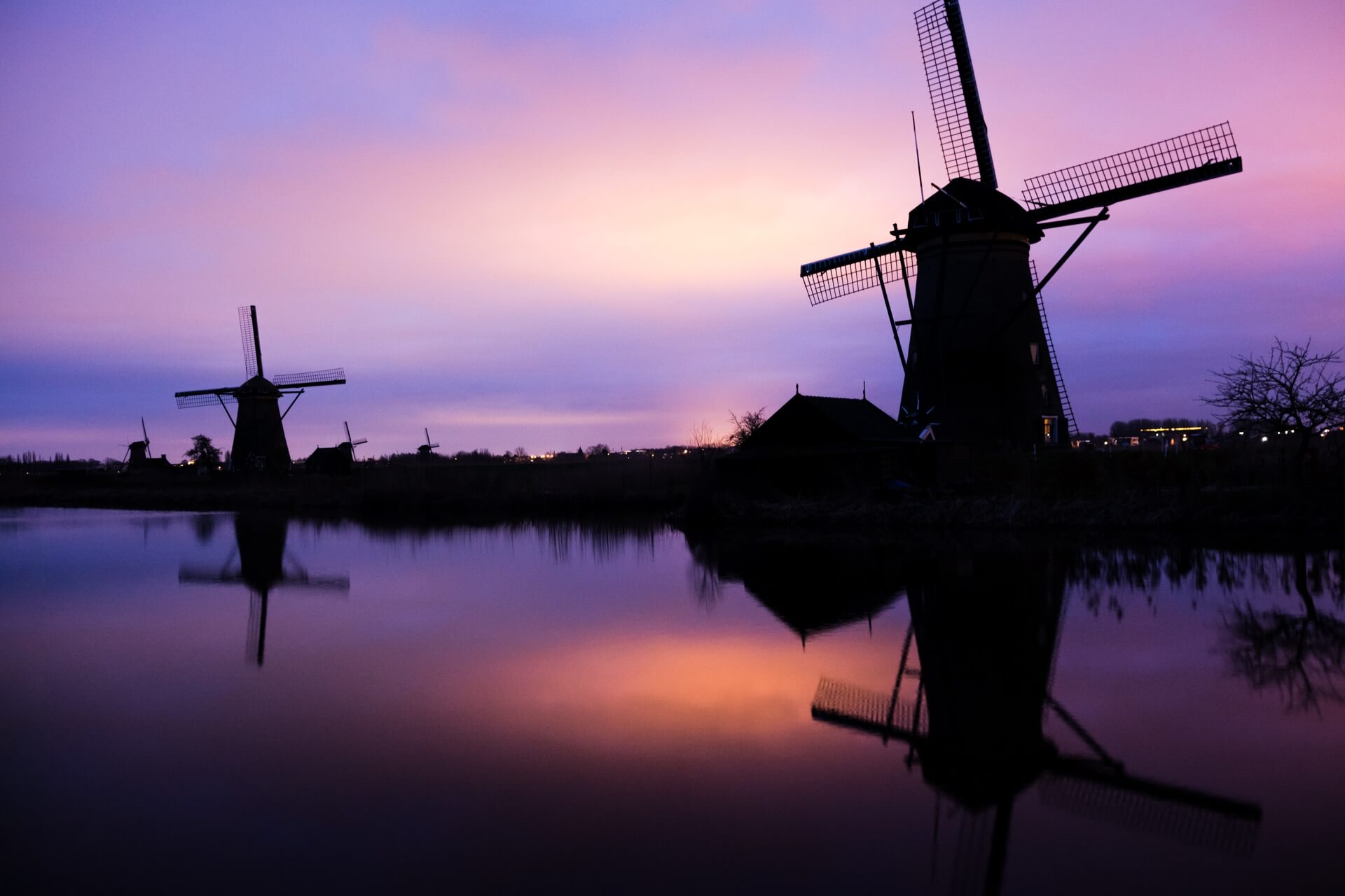 Kinderdijk spot photo WildSpot