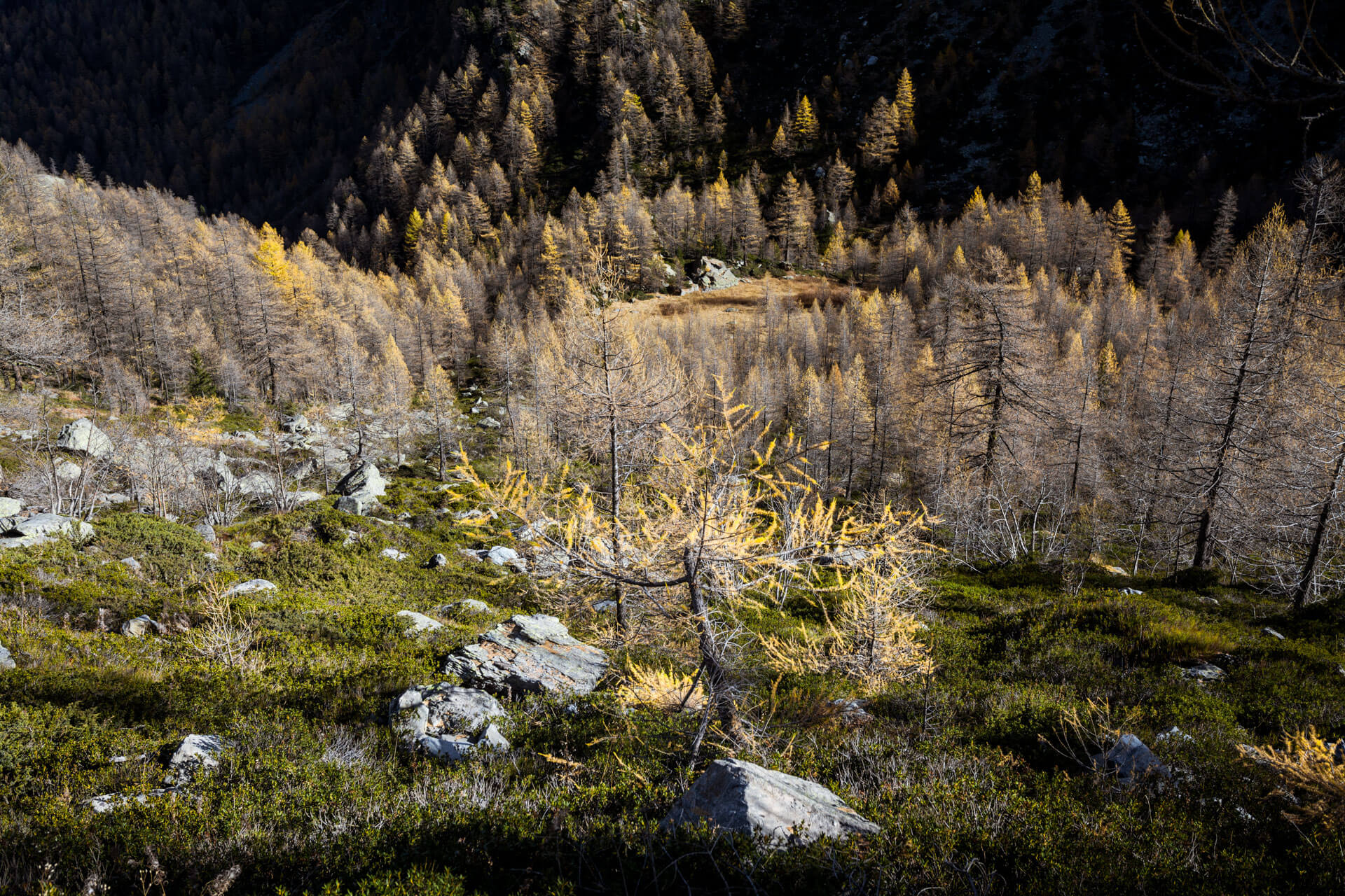 Lago d'Apry Lac Val d'Aoste italie montagne spot photo WildSpot