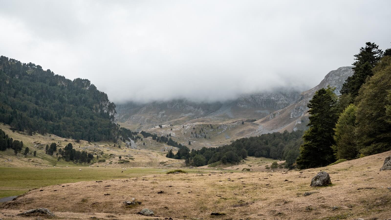 Refuge Ayous Vallee Ossau Wild Spot