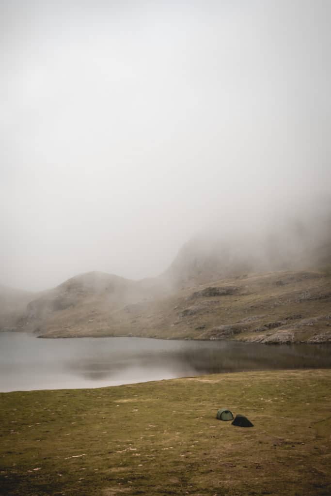 Refuge Ayous Vallee Ossau Wild Spot