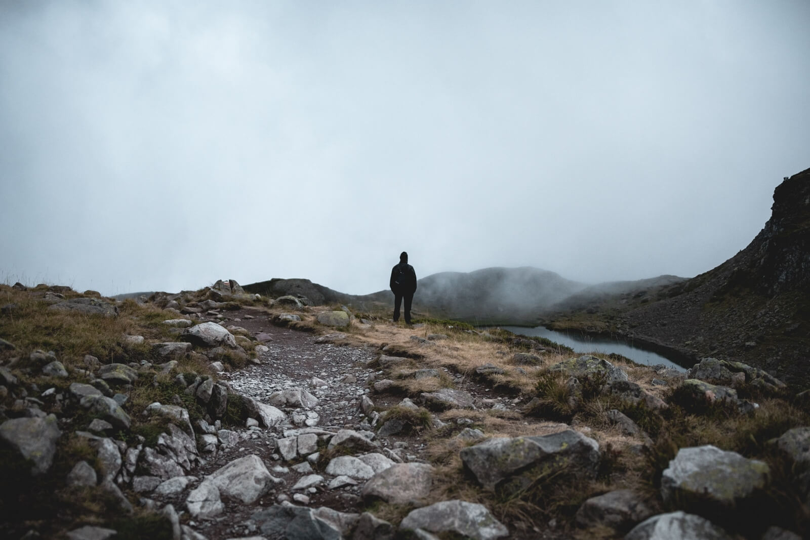 Refuge Ayous Vallee Ossau Wild Spot