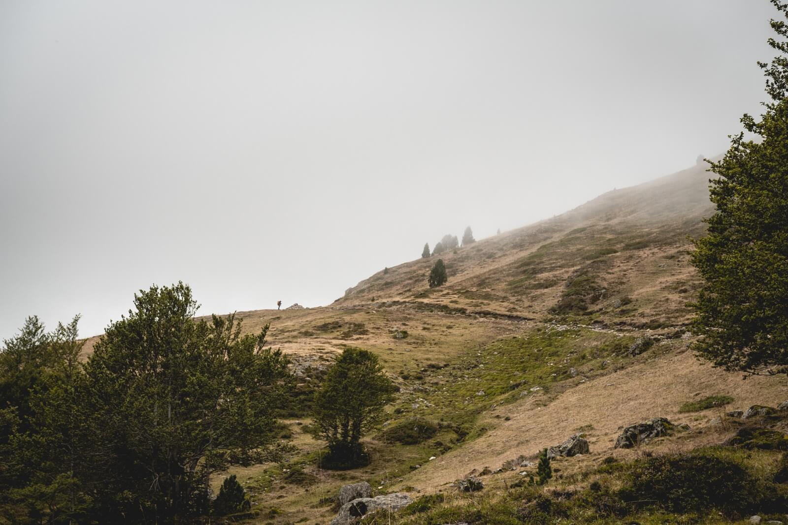 Refuge Ayous Vallee Ossau Wild Spot