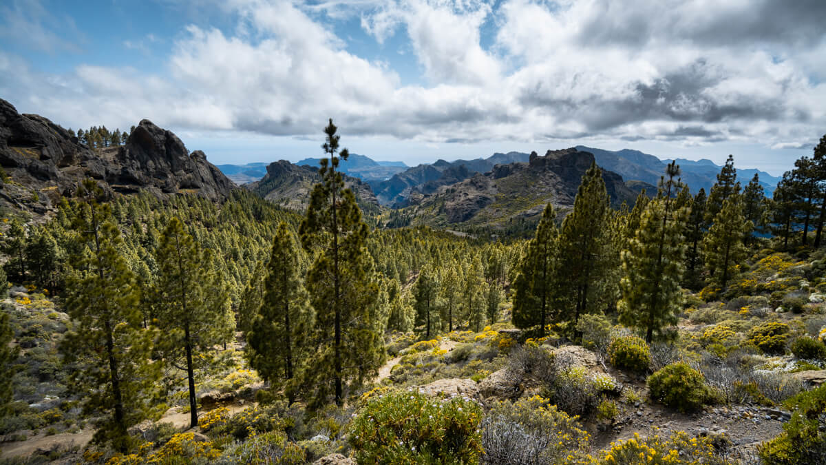 Roque Nublo Gran Canaria Wild Spot Espagne