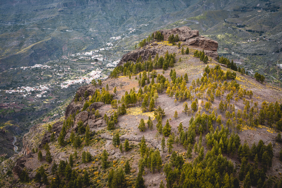 Roque Nublo Gran Canaria Wild Spot Espagne