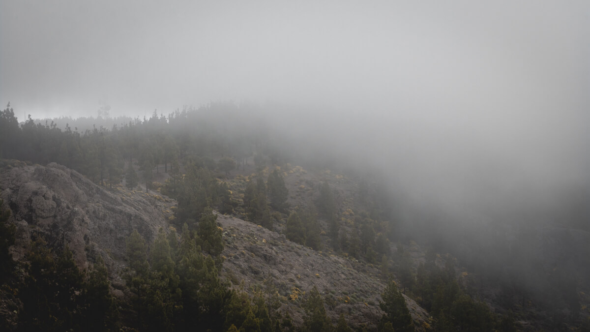 Roque Nublo Gran Canaria Wild Spot Espagne