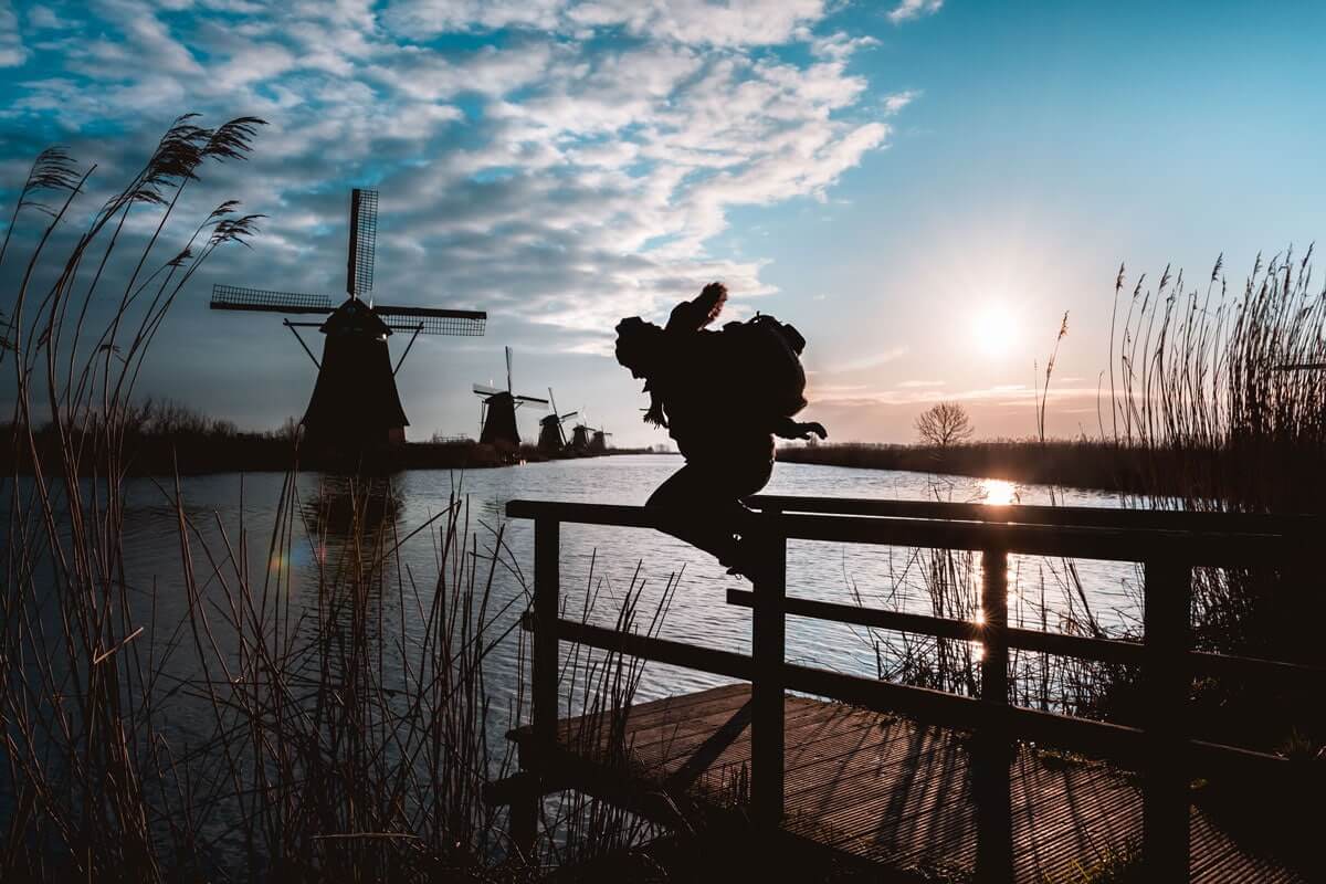 Kinderdijk spot photo WildSpot Aurélien Lévy