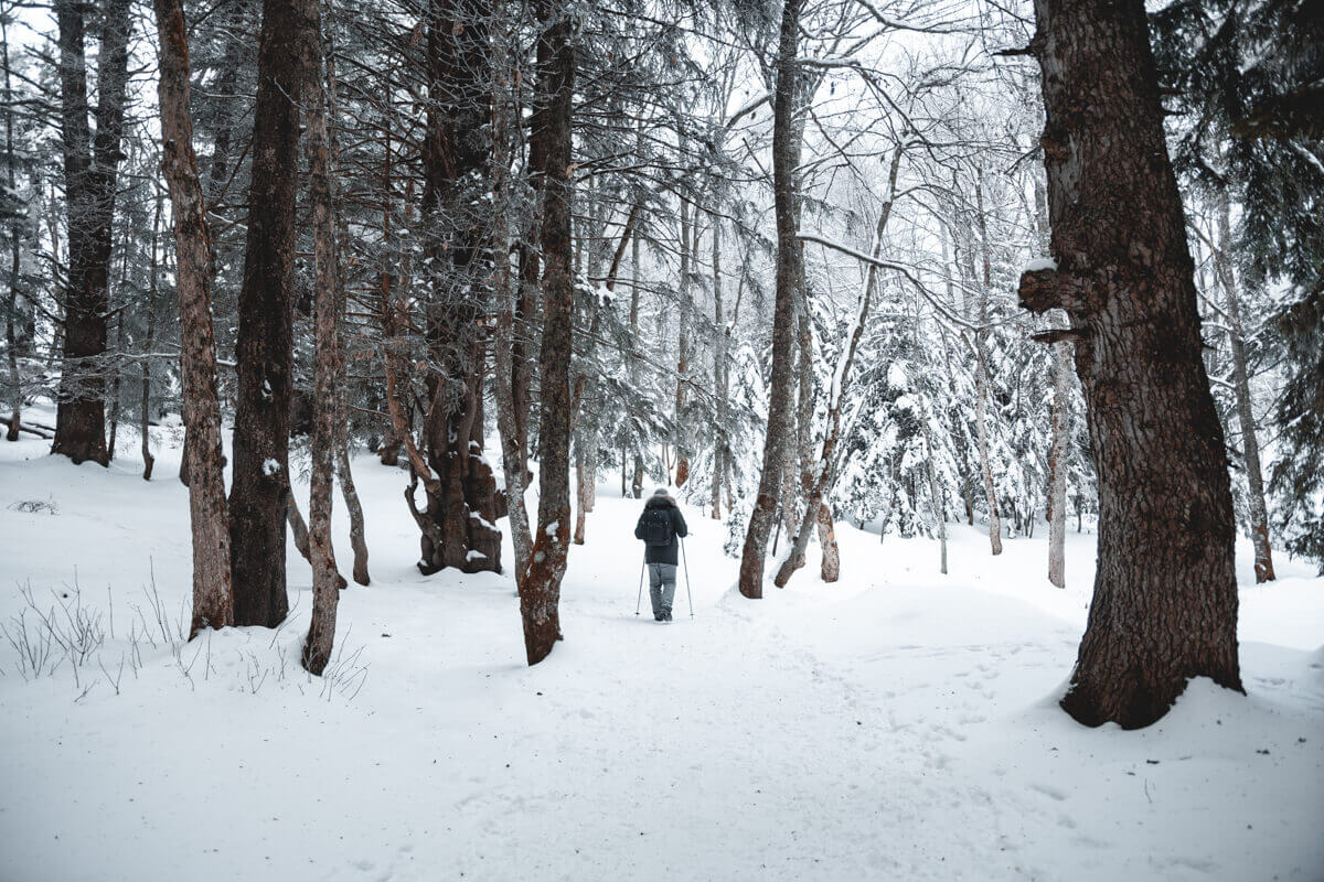 Croix du Nivolet Bauges par Le Sire nuit Hiver raquettes Wild Spot