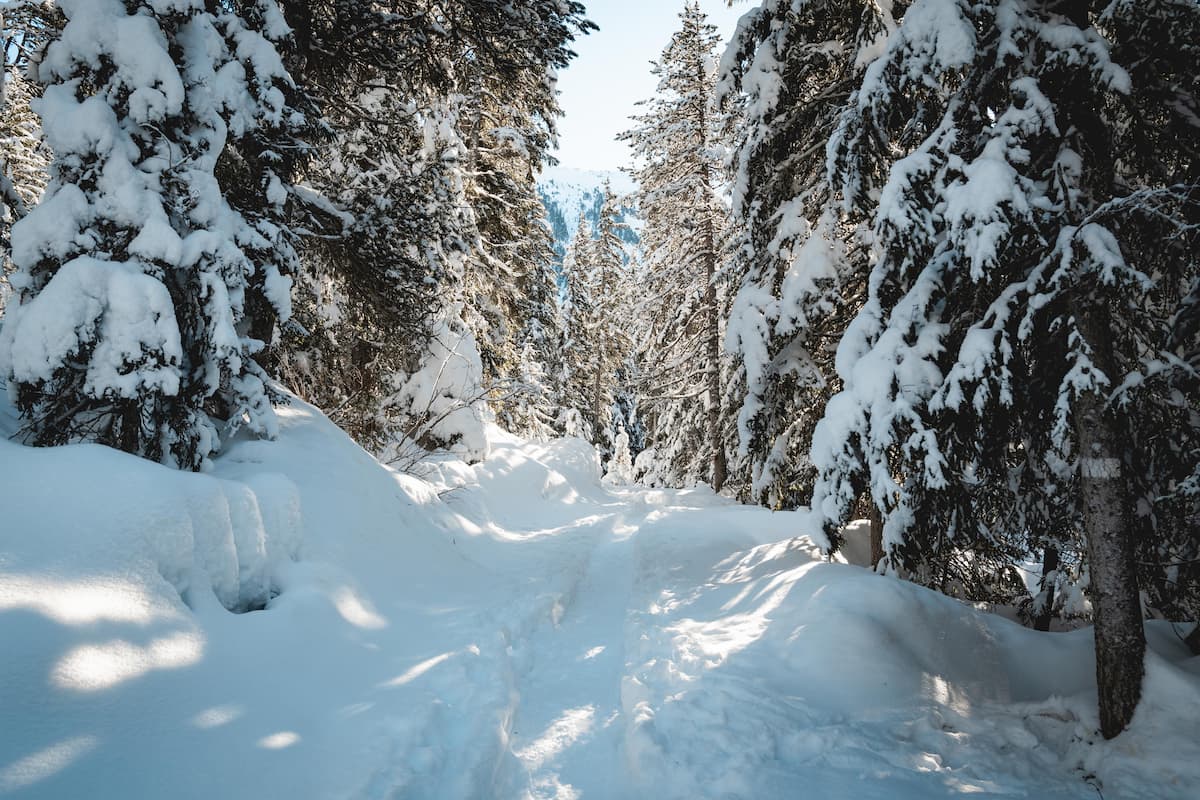 Lac de la Rosière Torrent Courchevel hiver neige Wild Spot photographie