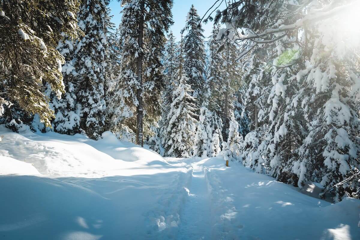 Lac de la Rosière Torrent Courchevel hiver neige Wild Spot photographie