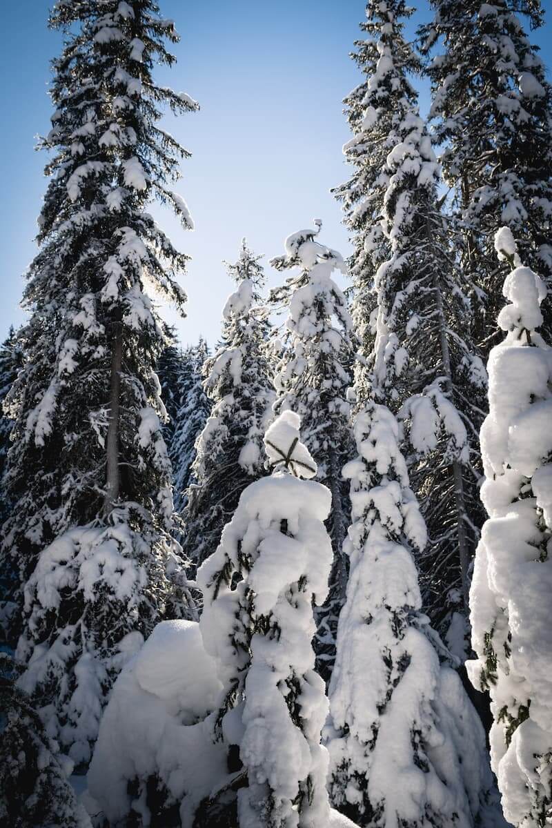 Lac de la Rosière Torrent Courchevel hiver neige Wild Spot photographie