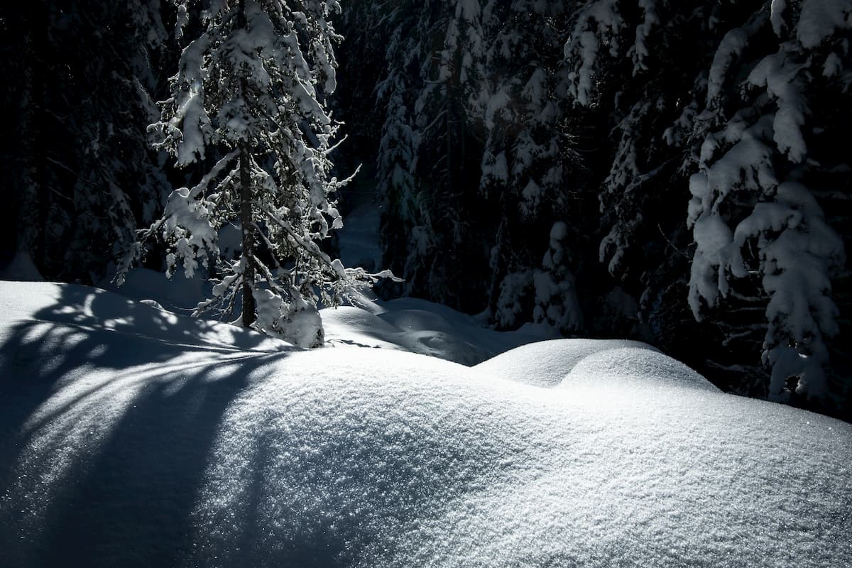 Lac de la Rosière Torrent Courchevel hiver neige Wild Spot photographie