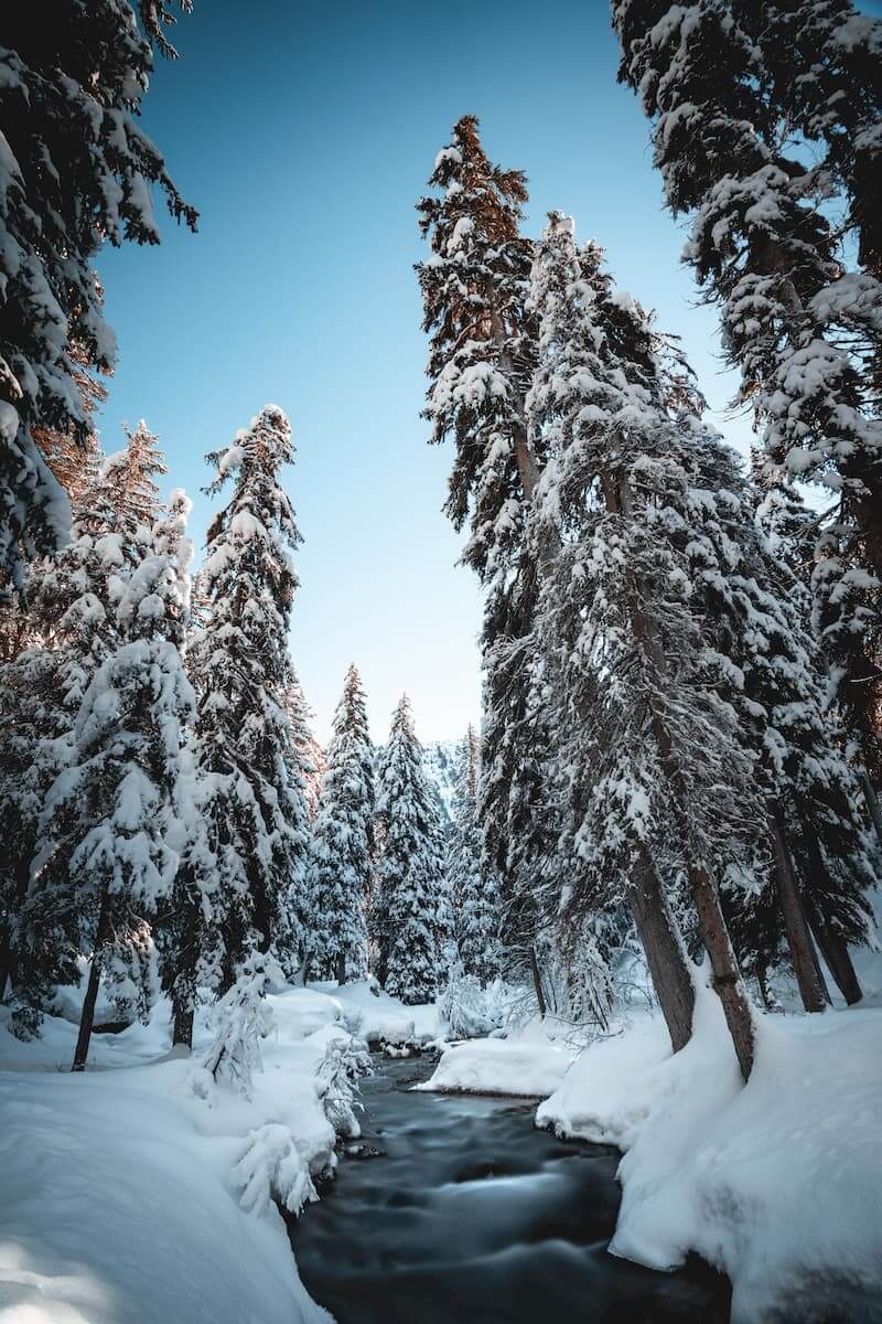 Lac de la Rosière Torrent Courchevel hiver neige Wild Spot photographie