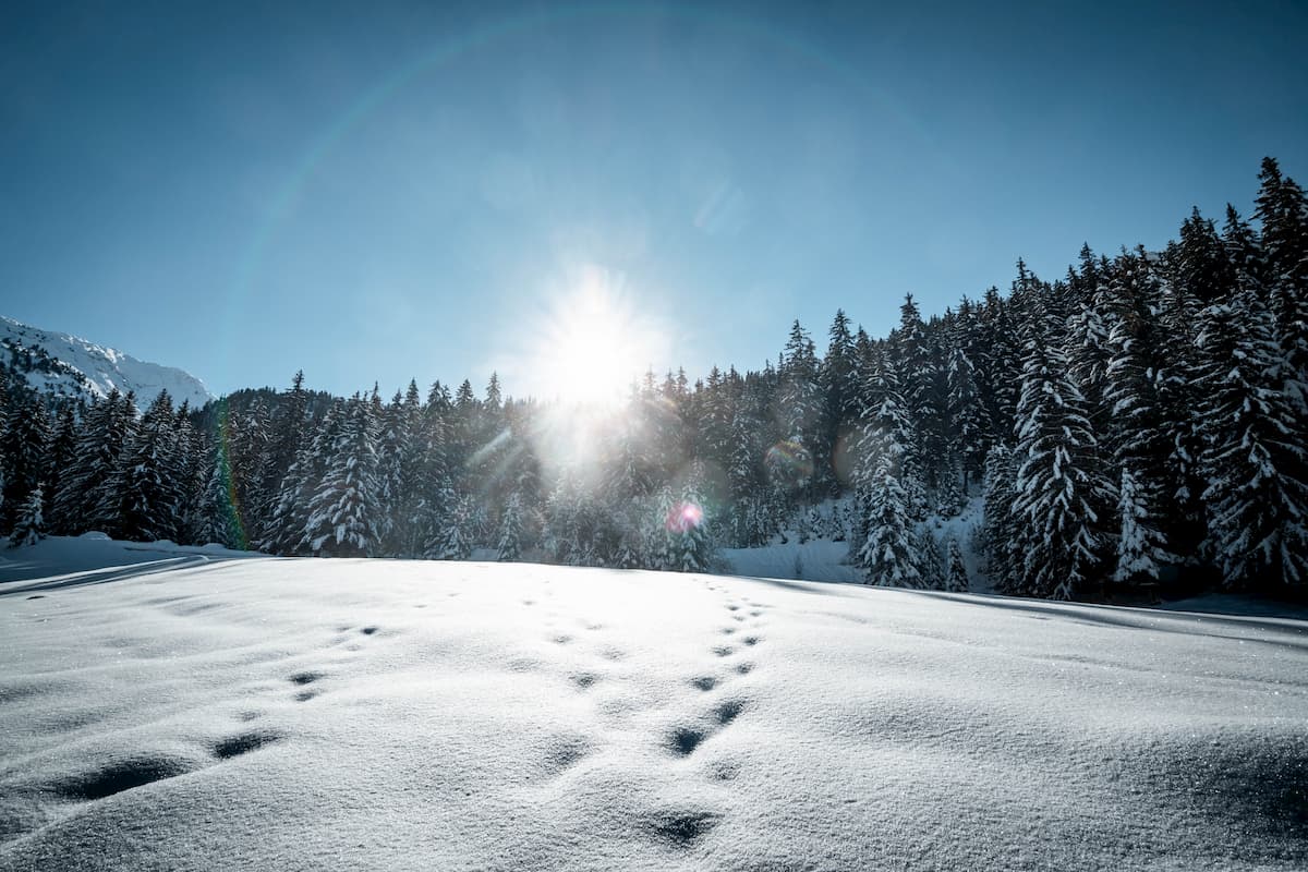 Lac de la Rosière Torrent Courchevel hiver neige Wild Spot photographie