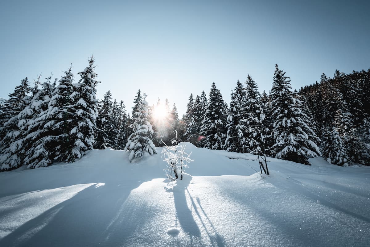 Lac de la Rosière Torrent Courchevel hiver neige Wild Spot photographie