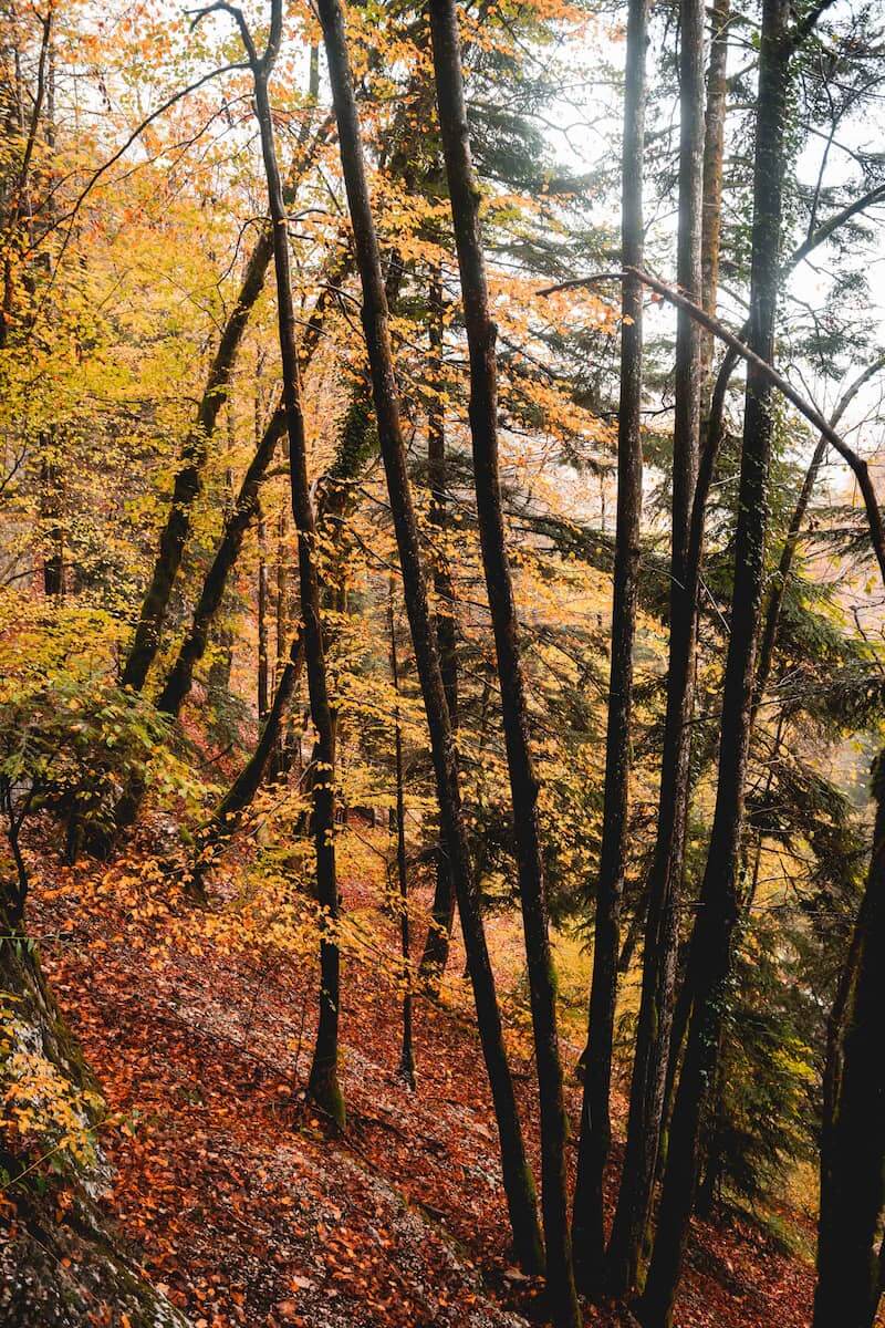 cascades du hérisson bonlieu lieux à voir dans le haut jura en automne week-end wildspot