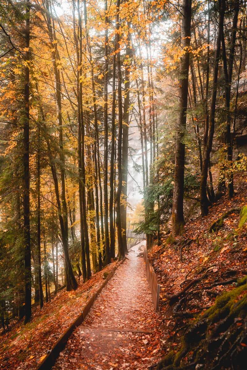 cascades du hérisson bonlieu lieux à voir dans le haut jura en automne week-end wildspot