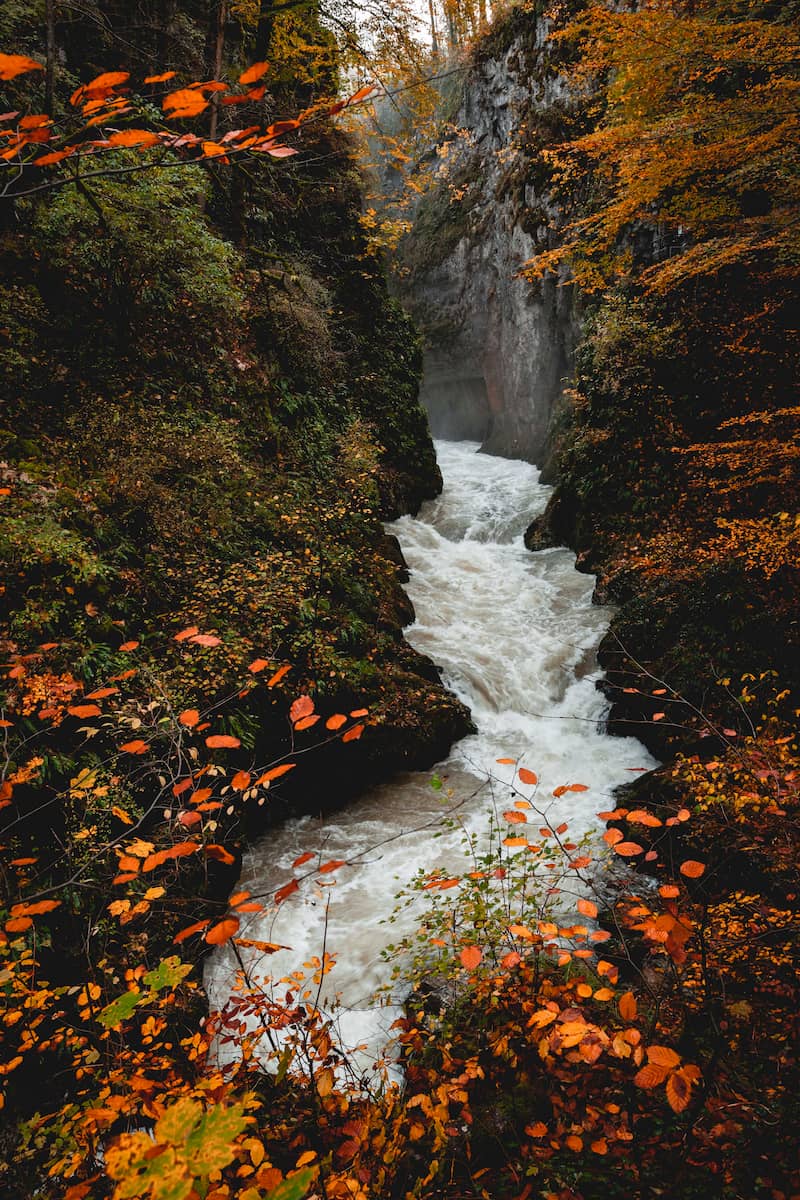 gorges de la langouette lieux à voir dans le haut jura en automne week-end wildspot