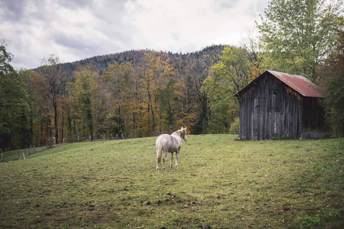 gorges de la langouette lieux à voir dans le haut jura en automne week-end wildspot