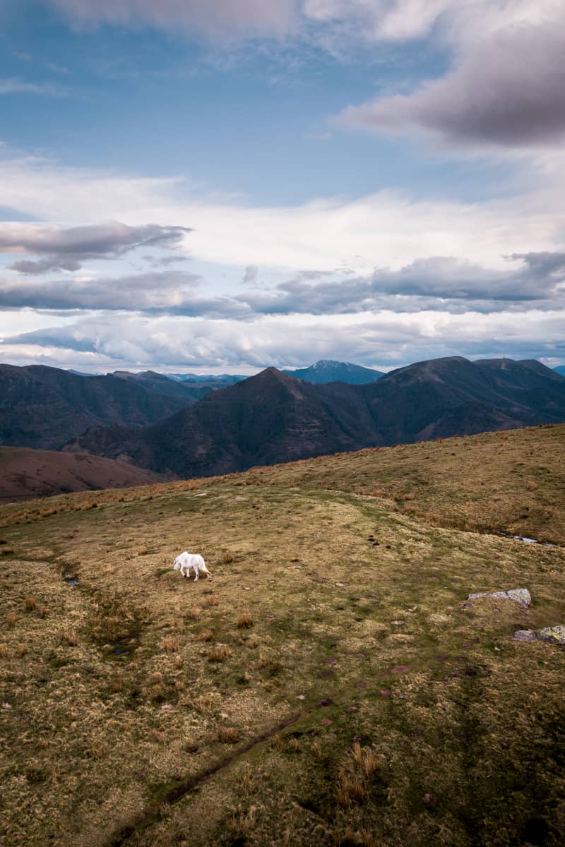 Photographie coucher de soleil Sommet Artzamendi Pays Basque Itxassou Wild Spot