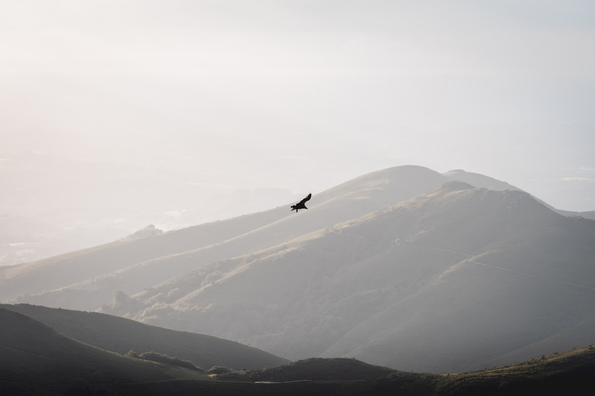 Photographie coucher de soleil Sommet Artzamendi Pays Basque Itxassou Wild Spot