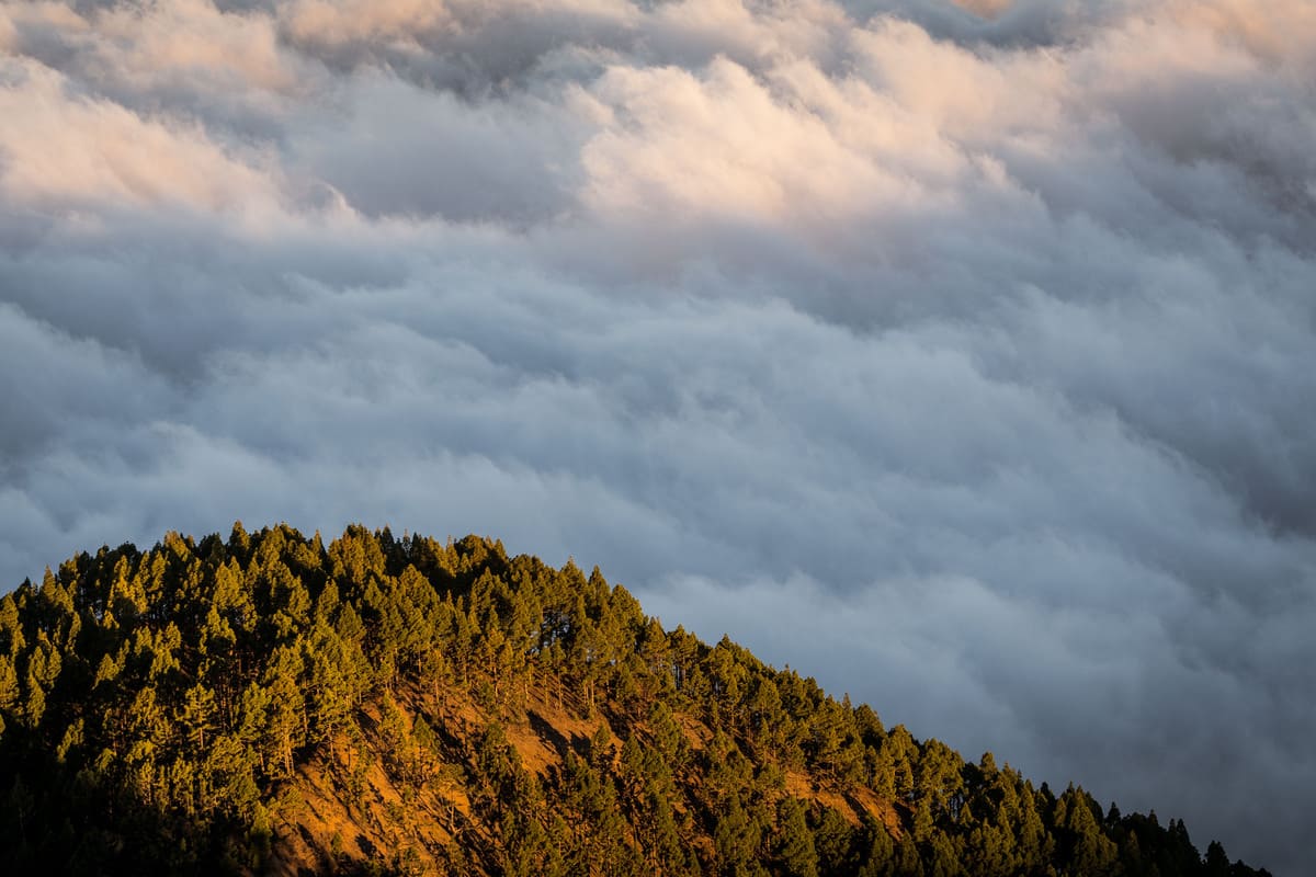 photo mer de nuages randonnée sommet volcan Pico Birigoyo île La Palma Canaries Espagne Wild Spot