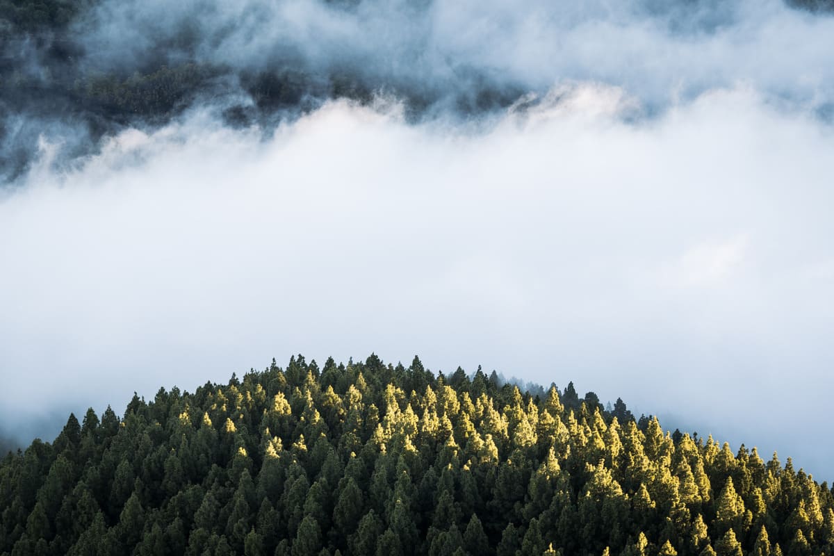 photo mer de nuages randonnée sommet volcan Pico Birigoyo île La Palma Canaries Espagne Wild Spot