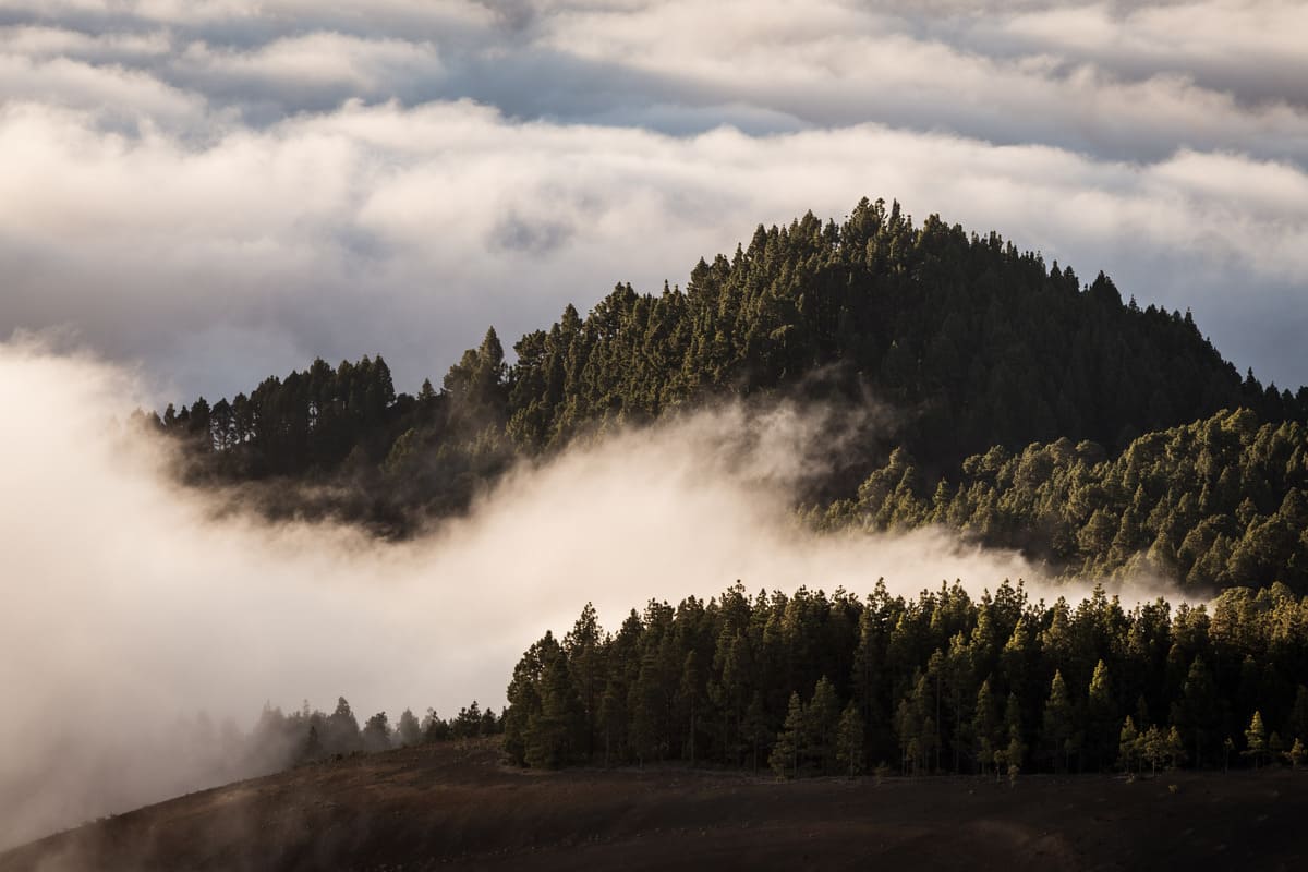 photo mer de nuages randonnée sommet volcan Pico Birigoyo île La Palma Canaries Espagne Wild Spot