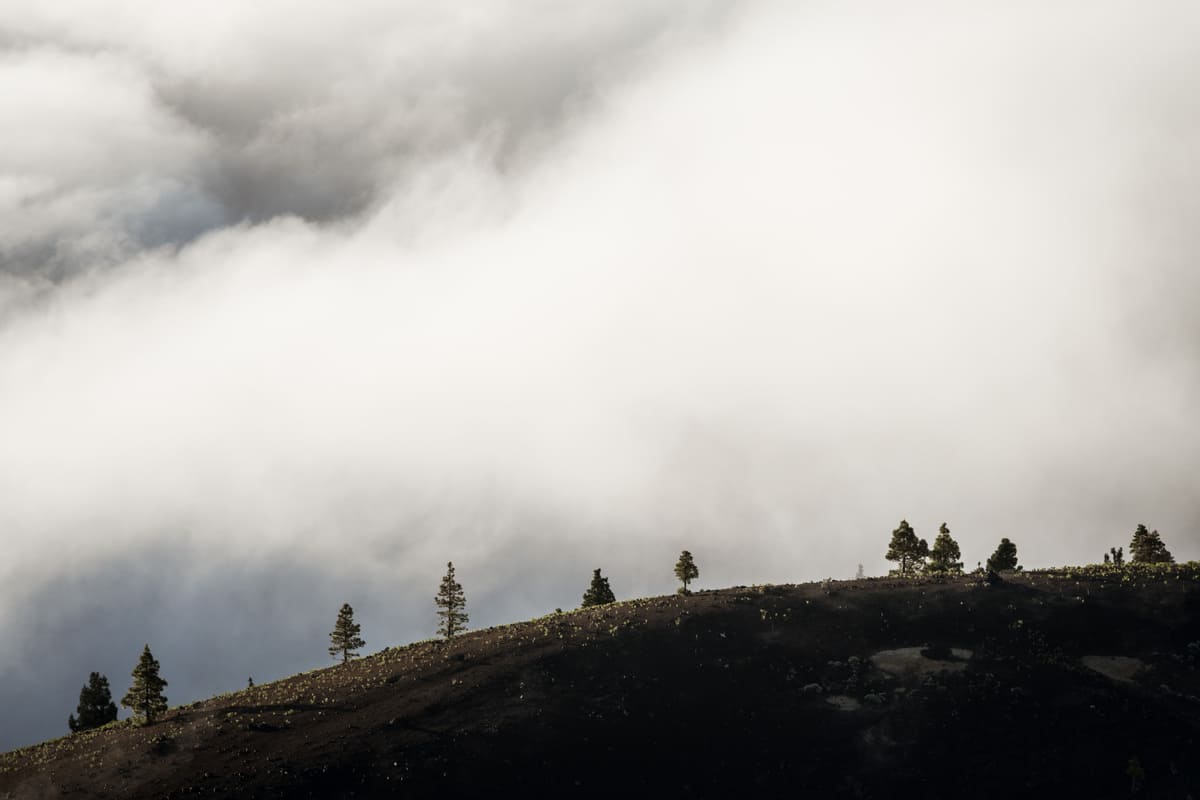 photo mer de nuages randonnée sommet volcan Pico Birigoyo île La Palma Canaries Espagne Wild Spot