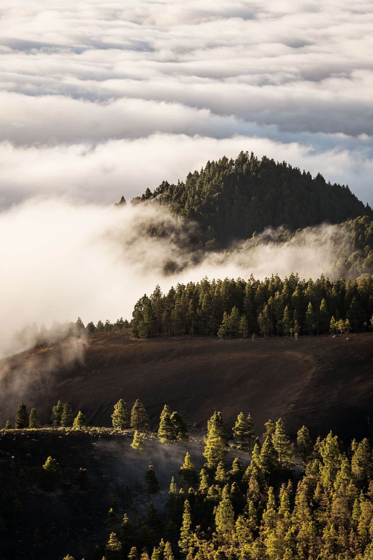 photo mer de nuages randonnée sommet volcan Pico Birigoyo île La Palma Canaries Espagne Wild Spot