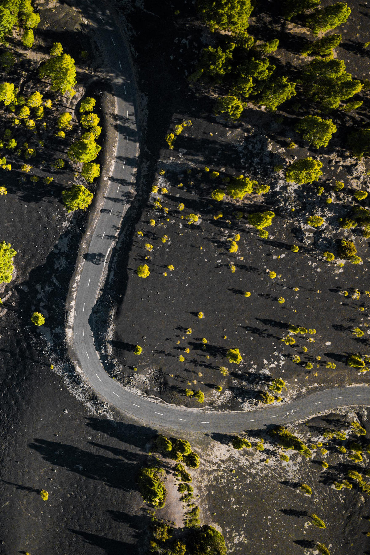 photo mer de nuages randonnée sommet volcan Pico Birigoyo île La Palma Canaries Espagne Wild Spot