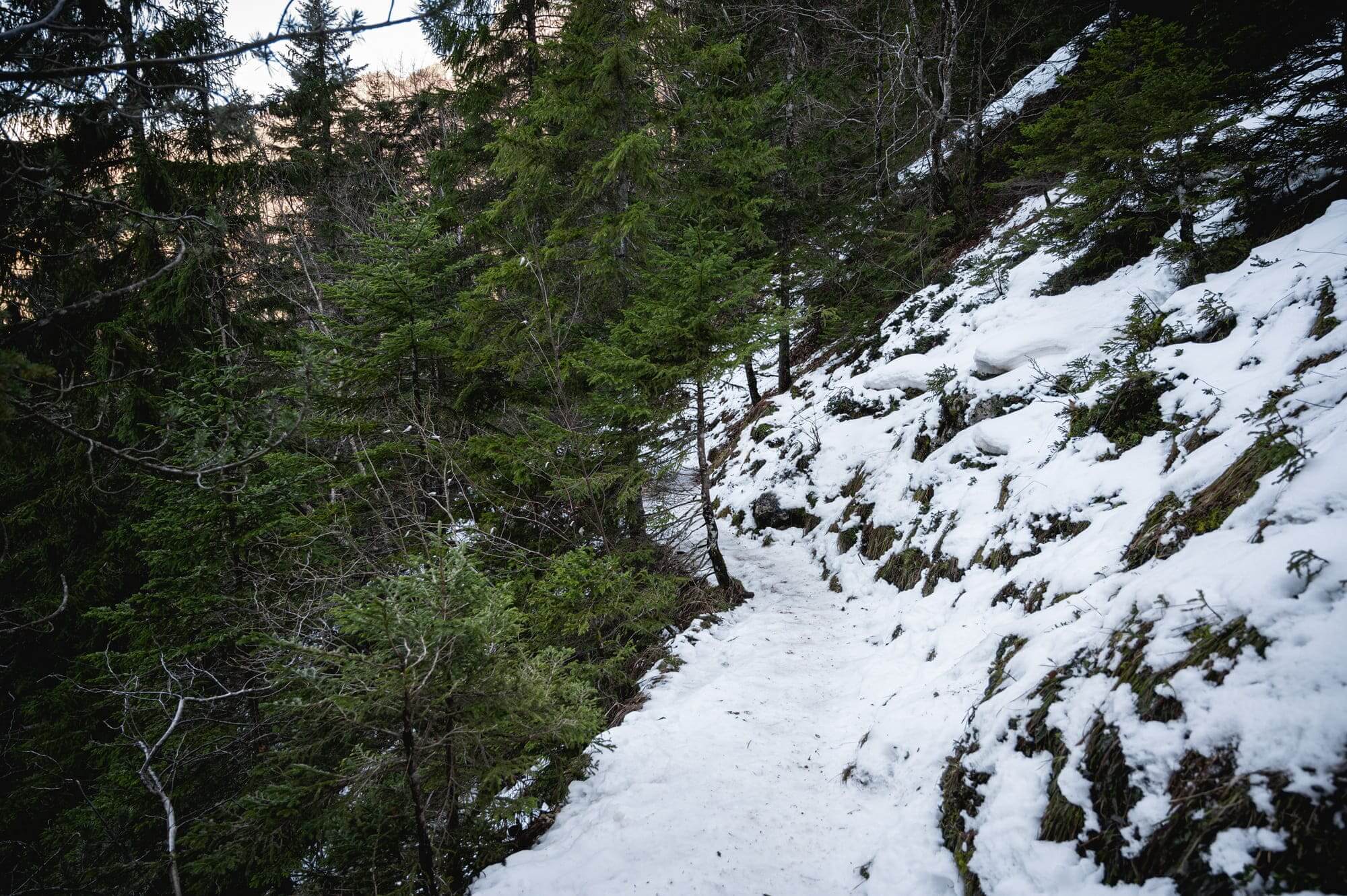cascade cirque saint meme chartreuse savoie montagne randonnée spot photo hiver wildspot aurélien papa