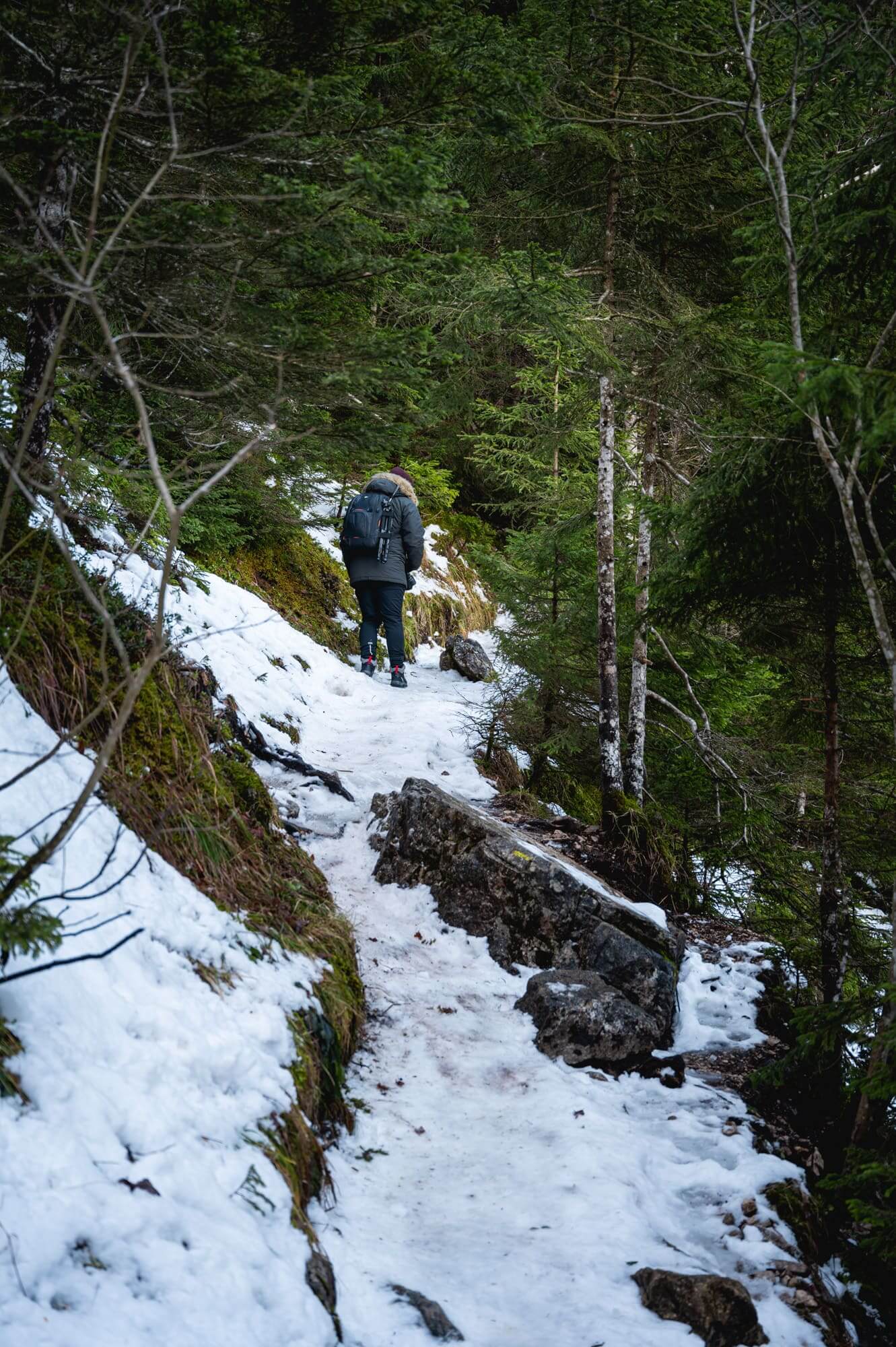 cascade cirque saint meme chartreuse savoie montagne randonnée spot photo hiver wildspot aurélien papa