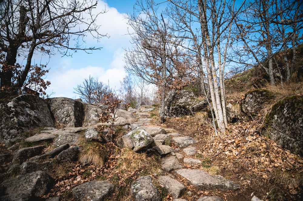 Cascade de Runes Lozere Cévennes 48