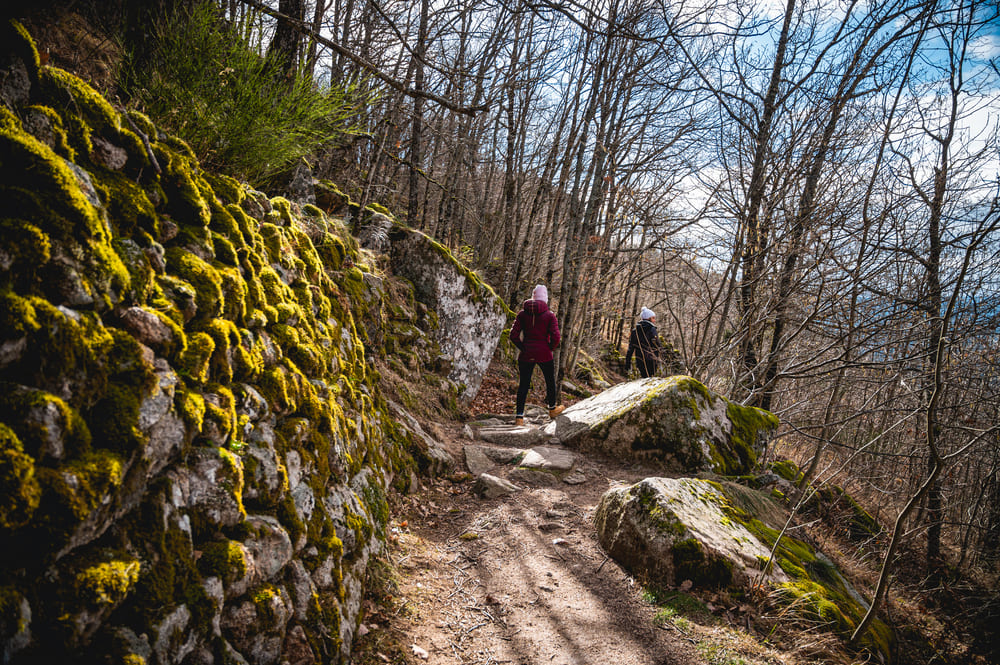 Cascade de Runes Lozere Cévennes 48